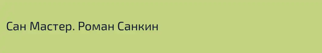 Сан Мастер. Роман Санкин